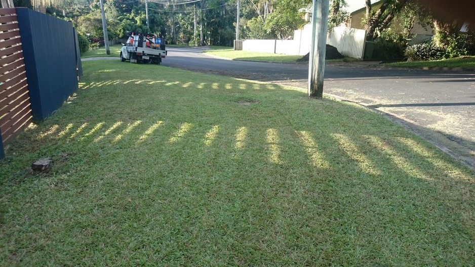 Chips 'n' Dips Pic 2 - Neat and freshly mowed Naturestrip looking awesome