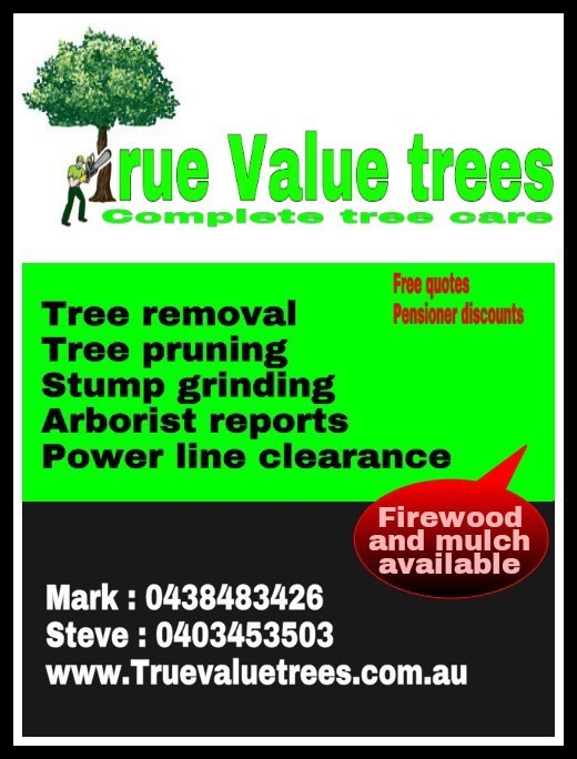 True Value Trees Pic 1