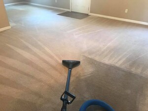 Carpet Cleaning Woolloongabba Pic 2