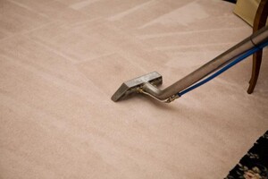 Carpet Cleaning Woolloongabba Pic 3