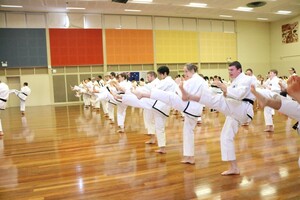 Action Tae Kwon Do Pic 3 - Action Tae KwonDo adults in action