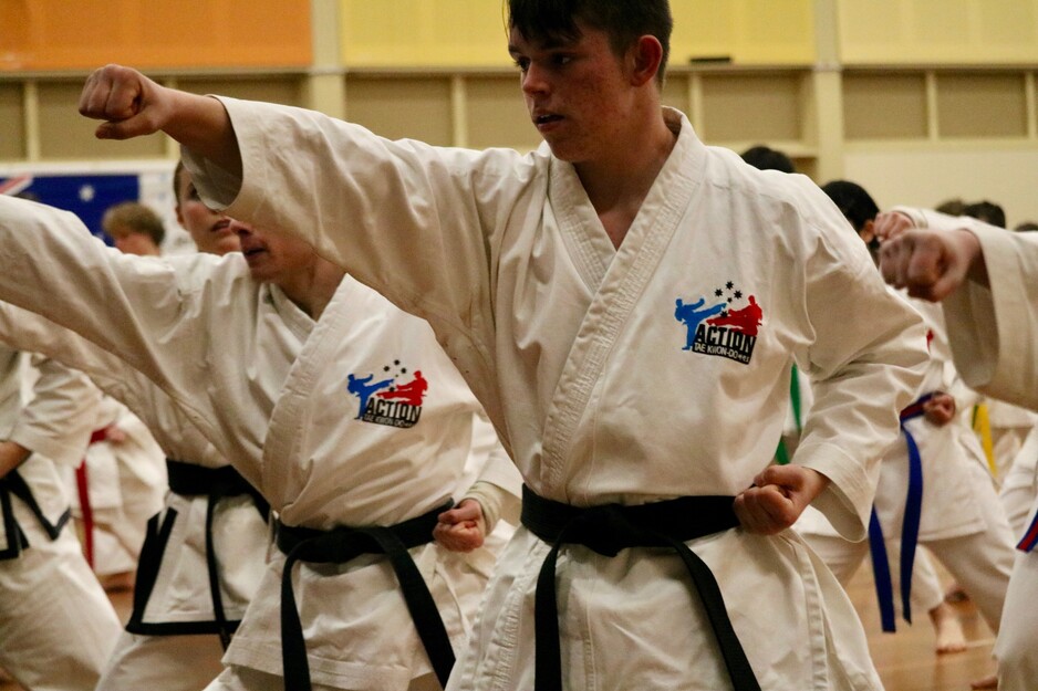 Action Tae Kwon Do Pic 1 - Action Tae KwonDo adults in action