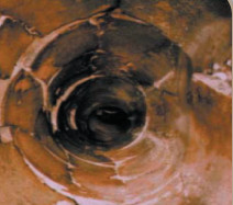 Toots n Taps Pic 4 - Cracked and broken drain before relining