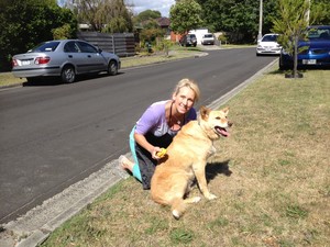 Looking Foxy Mobile Doggie Wash Pic 5