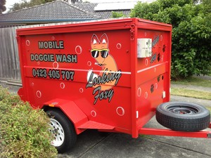 Looking Foxy Mobile Doggie Wash Pic 3