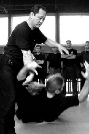 Bujinkan Dojo Pic 5