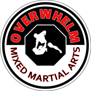 Overwhelm Mixed Martial Arts Pic 2 - Traditional and freestyle martial arts ages 4 to adult