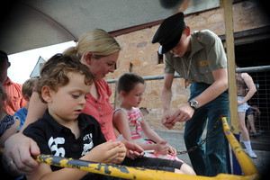 Platform 1 Heritage Farm Railway Pic 5