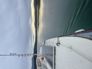 Wagonga Inlet Cruises Pic 2