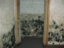 Attack grime, disinfect Flood damage Sanitise Pic 2 - heavy mould after flood call xsteam clean to eradicate and disinfect