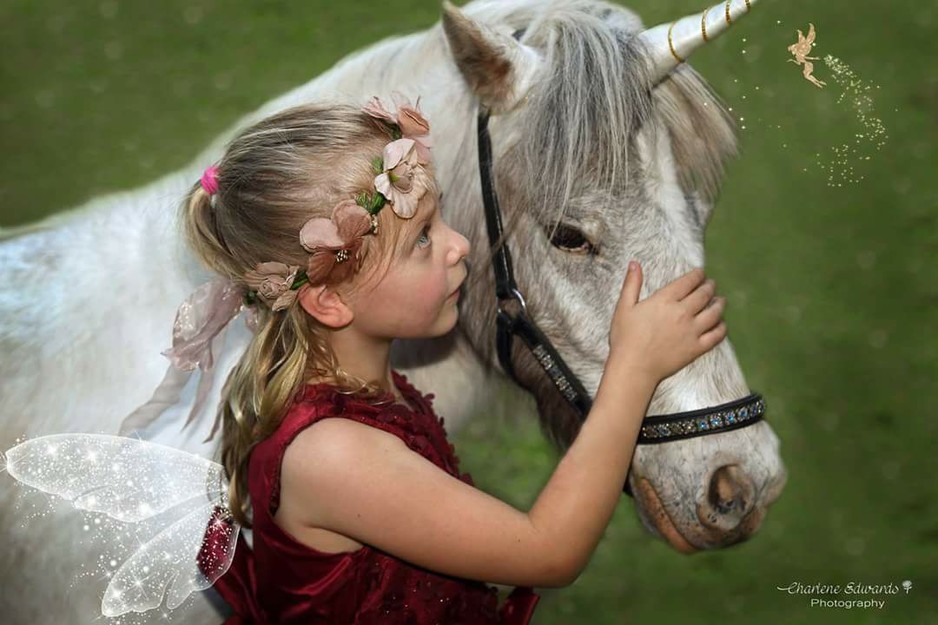 Cheeky Cherokee's miniature pony rides Pic 1 - Cheeky Cherokees is a magical experience