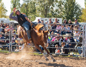 Denis Cale Photography Pic 3 - Braidwood Rodeo