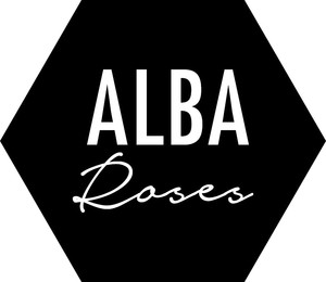 Alba Roses Pic 2