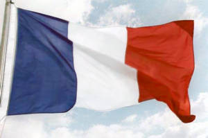 FRENCH TUTORING Pic 2 - French Flag