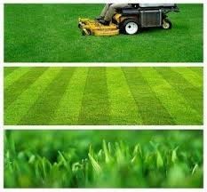 Mikes Local Mowing and Gardening Pic 4 - BEAUTIFUL LAWNS ARE OUR BUSINESS