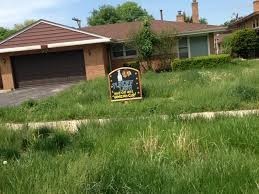 Mikes Local Mowing and Gardening Pic 2 - NO GARDENS TOO MESSY