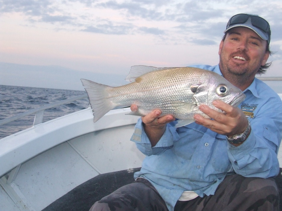 Fishing the Gold Coast Pic 1 - A nice little Pearlie on a soft plastic