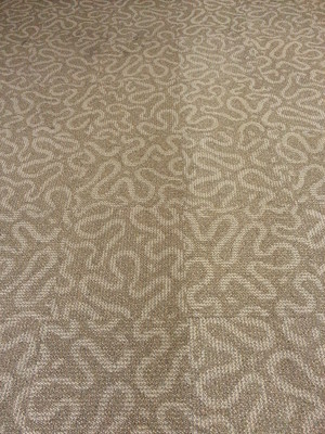 Clare Valley Cleaners Pic 3 - Another carpet part way through cleaning