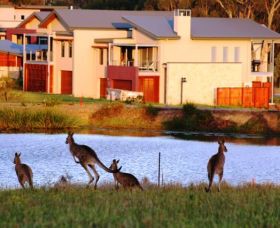 Grand Mercure The Vintage Hunter Valley Pic 1 - Grand Mercure The Vintage