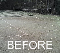 Sportzing Court Care Pic 3