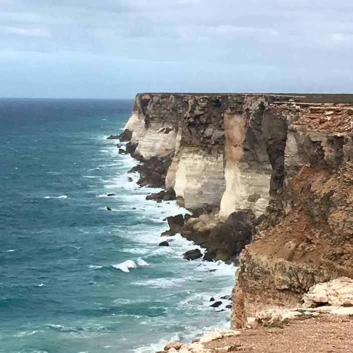 Great Australian Bight Safaris Pic 1