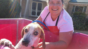 Pink Paws Mobile Dog Washing Pic 3