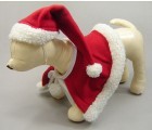 Cool Dogs Pic 2 - Dog Christmas Ideas