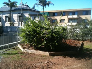 Lawns Gardens Landscaping Pic 4 - landscaping