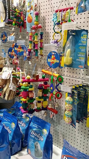 Pets Domain Pic 3 - Lots of bird toys