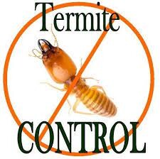 Termite Treatment Melbourne Pic 5