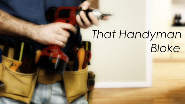 That Handyman Bloke Pic 1