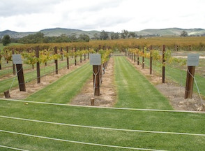 R & M Transit Tours Pic 4 - winery tours adelaide