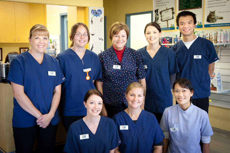 Pascoe Vale Veterinary Hospital Pic 1 - The team welcomes you to Pascoe Vale Veterinary Hospital