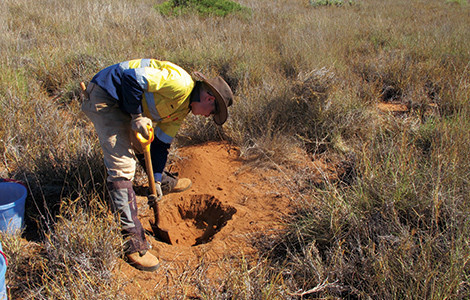 Archaeological and Heritage Management Solutions (AHMS) Perth Pic 2