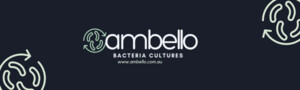 Ambello Bacteria Cultures Pic 2 - AMBELLO BACTERIA CULTURES