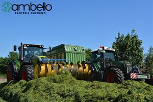 Ambello Bacteria Cultures Pic 4 - SILAGE INOCULANTS AUSTRALIA