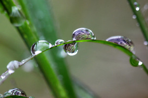 COFFS HARBOUR PHOTOGRAPHY Pic 5