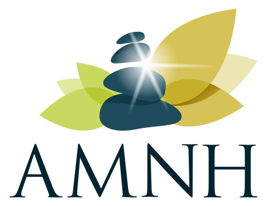 AMNH Pic 1 - AMNH logo