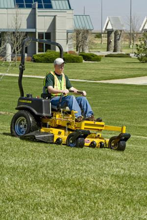 Davids Lawn Mowing Pic 2