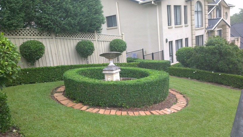 Pro Cut Lawns Pic 1