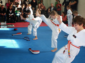 Professional Taekwondo - Anti Bullying Programs Pic 3 - Professional Taekwondo Anti Bullying Programs