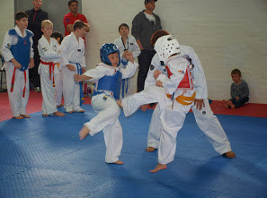 Professional Taekwondo - Anti Bullying Programs Pic 5 - Professional Taekwondo Anti Bullying Programs