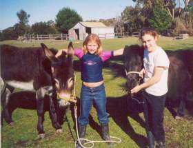 Grampians Sunrise Holiday Villas Pic 1 - Donkey and Horse