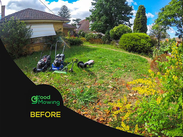 Good Mowing & Gardening Pic 1 - Good Mowing Gardening