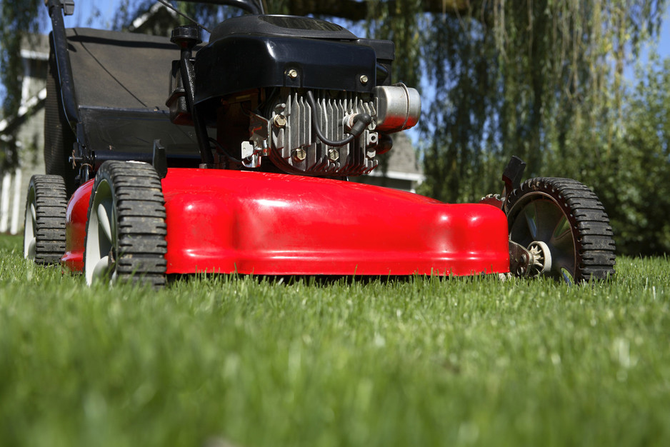 Pineapple Lawn Mowing Pic 1