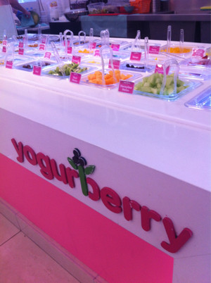 Yogurberry Pic 2