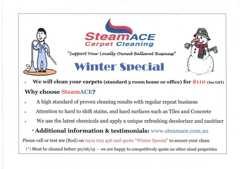 Steamace Carpet Cleaning Pic 1