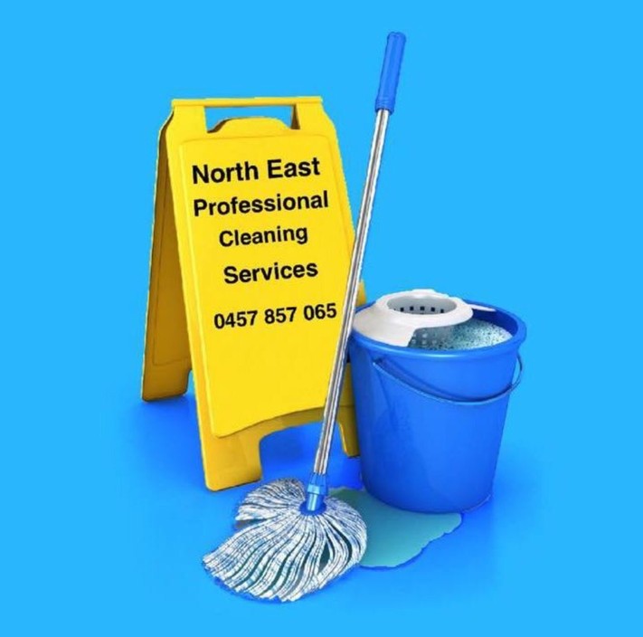 North East Professional Cleaning Services Pic 2