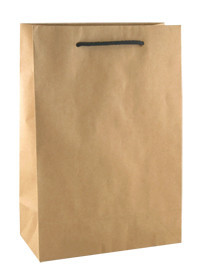 QIS Packaging Pic 3 - Deluxe Kraft Paper Bags available in many sizes