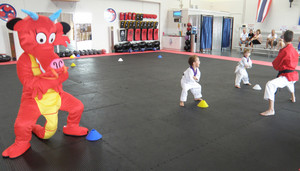 Southern Cross Martial Arts Association Inc Pic 5 - Our mascot playing with out Little Dragons class 34 year olds